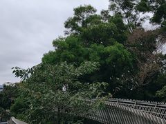 -福道
