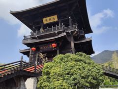 -大唐贡茶院