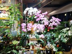 -上海浦东嘉里大酒店