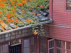 -乌山风景区