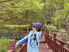 -驼梁风景区