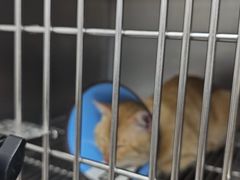 -联合动物医院(光谷诊疗中心)