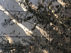 -天津东丽湖风景区