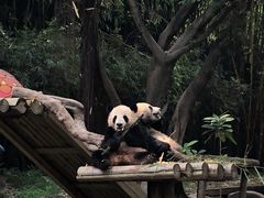 -广州长隆野生动物世界