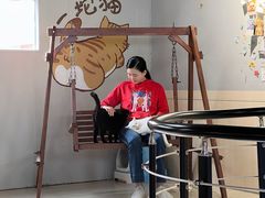 -豆逗聊愈猫阁Easy Life
