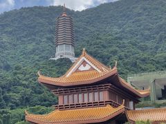 -深圳仙湖植物园