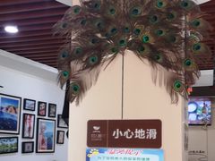 -官人桥番茄米线(温江行署店)