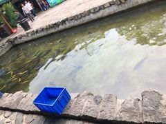 -京北渔家傲