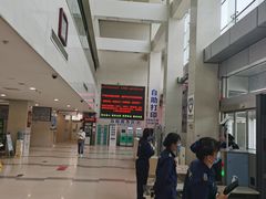 -首都医科大学附属北京地坛医院