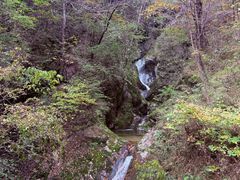 -牛背梁国家森林公园