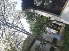 -松鹤楼(山塘街店)