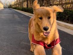 -宠福鑫康馨动物医院·骨科·眼科
