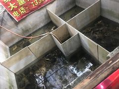 -龟场私房菜
