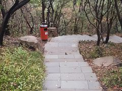 -杭州半山国家森林公园