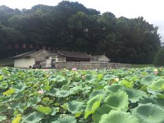 -古田会议纪念馆