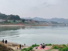 -金海湾滨江公园