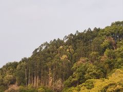 -福道
