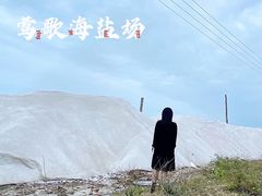-莺歌海盐场