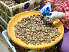 -高记福桂桂花糖炒栗(鼓楼店)
