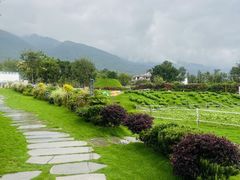 -云禾壹海景庄园餐厅