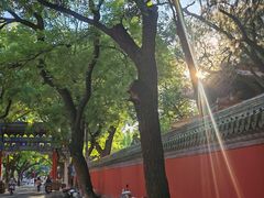 -北京国子监胡同