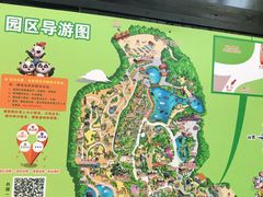 -美食小镇·观赏珍稀鸟类·长隆熊猫酒店
