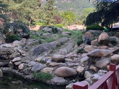 -泰安东尊华美达广场酒店(泰山景区店)