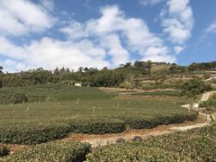 -优游吧斯邹族文化部落