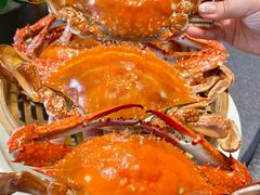 -连鹭海鲜·海肠捞饭·海胆饭(星海店)