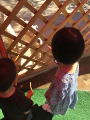 -萌宠亲子动物乐园(槐房万达店)