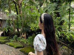 -绿光森林餐厅