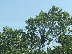 -一锅厨东北水饺店(厦大店)