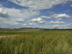 -塞罕坝国家级自然保护区