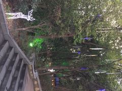 宝莱纳啤酒花园餐厅-宝莱纳啤酒花园餐厅PAULANER BRAUHAUS Nanjing(广州路店)
