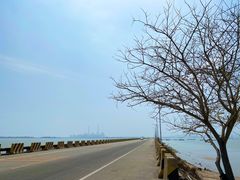 -汕尾风车岛