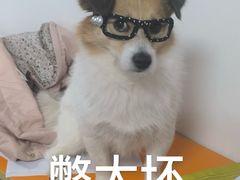 -疯狂烤翅(飘逸路店)