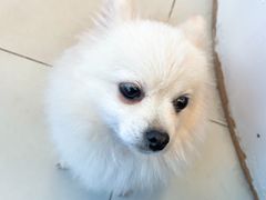 -怪兽屋·羊驼·猫咖·狗咖(俊华广场店)