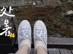 -国家植物园