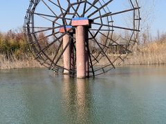 -泗洪洪泽湖湿地景区