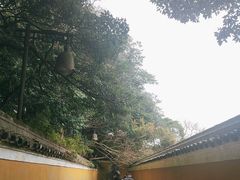 -普陀山慧济禅寺