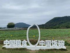 -艾米稻香小镇