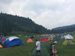 -武陵山森林公园