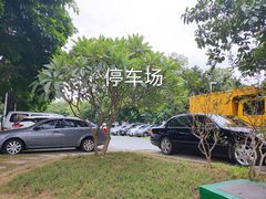 -映月湖公园