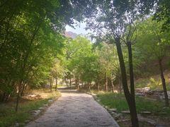 -十渡东湖港风景区