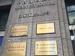 -申普宠物医院·心脏介入·心血管微创(总院)