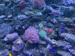 -锦艺城海洋馆