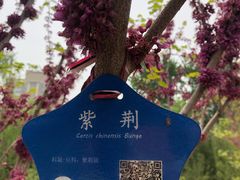 -元大都城垣遗址公园