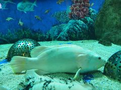 -成都浩海立方海洋公园