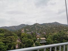-清境桃源