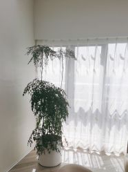 -HEYAN荷妍专业脱毛连锁机构